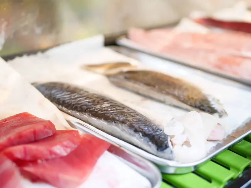 分厚い切り身で“魚を食べる”贅沢体験, 漁師×料理人、本物を知る店主のこだわり, 小鉢に広がる、もう一つの魚の世界, 今日だけの“海の定食”を味わいに