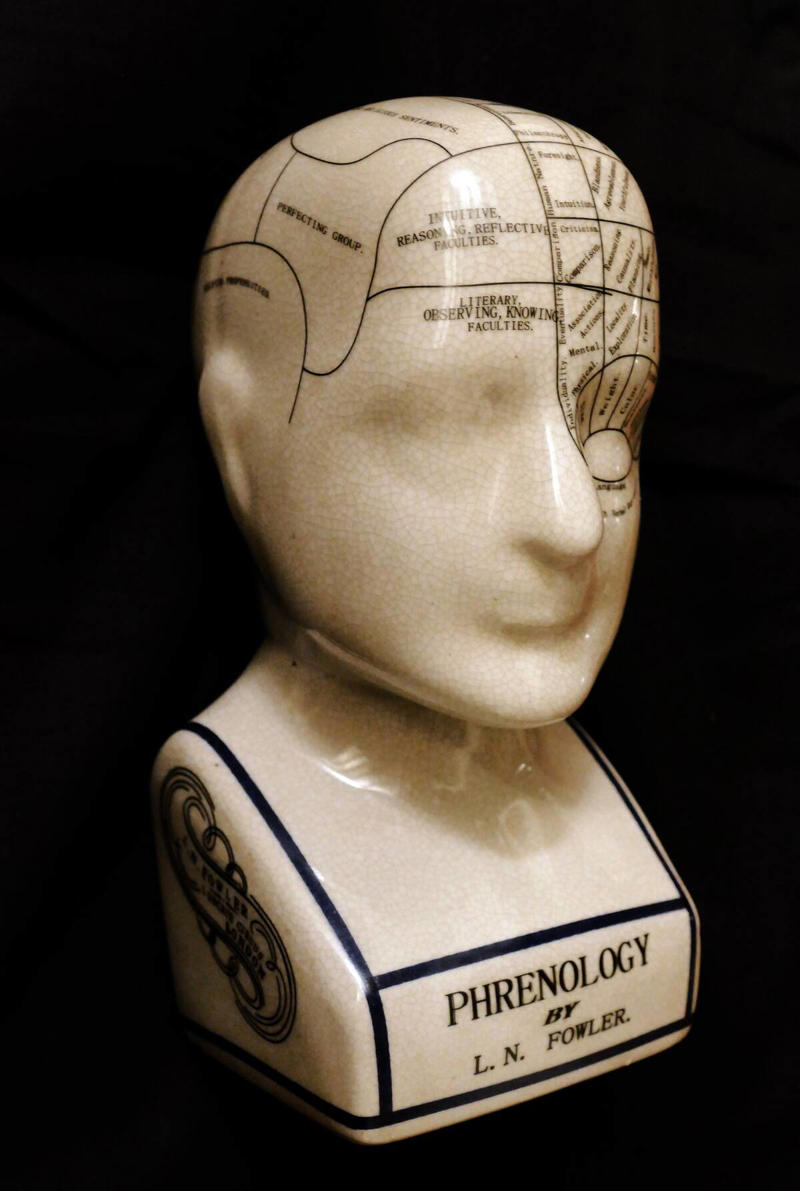 Phrenologist Lamplighter, Ice Cutter, Knocker-Up, Rat Catcher, Leech Collector, Town Crier, Pinsetter, The Scribe: Documenting History Without Technology, Phrenologist, Chimney Sweep, Switchboard Operator, Telegraph Operator, Elevator Operator, Street Organ Grinder
