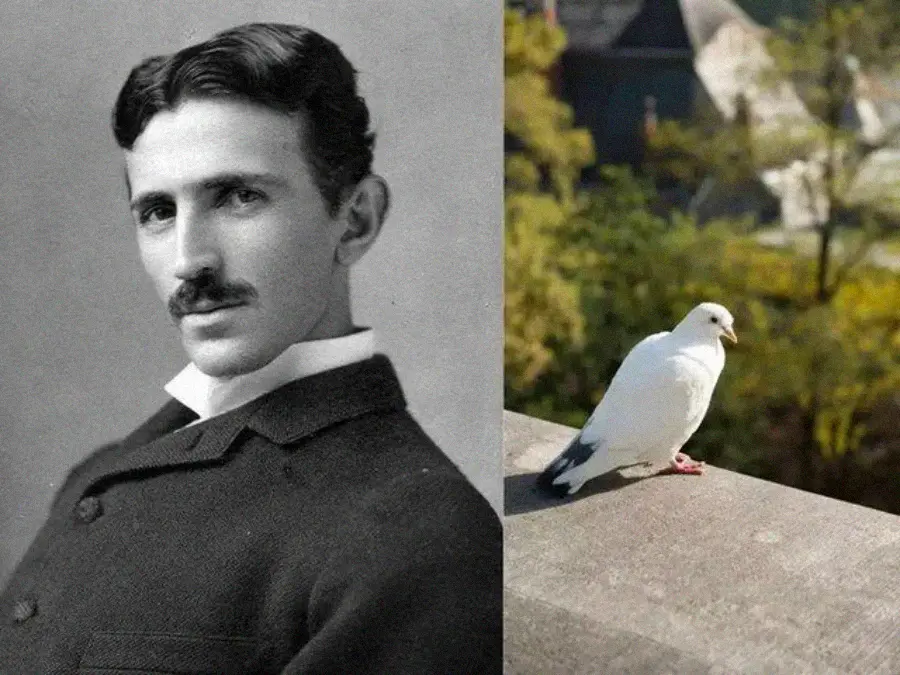 1. Nikola Tesla, the pigeon patron 1. Nikola Tesla, the pigeon patron, 2. Winston Churchill, the secret landscape painter, 3. Charles Darwin, the beetle collector extraordinaire, 4. Theodore Roosevelt, the taxidermy enthusiast, 5. Lord Byron, the university bear keeper, 6. Salvador Dali, the ocelot owner, 7. Abraham Lincoln, the wrestling champion, 8. Isaac Newton, the alchemy obsessive, 9. Benjamin Franklin, the glass armonica virtuoso, 10. John Quincy Adams, the early morning skinny-dipper, 11. Ludwig II of Bavaria, the fairy-tale castle builder, 12. James Buchanan, the cat colony caretaker, 13. Caligula, the senatorial horse honoree, 14. Lewis Carroll, the child photography aficionado, 15. Marie Curie, the radium jewelry collector, 16. Alexander Graham Bell, the animal sound recorder