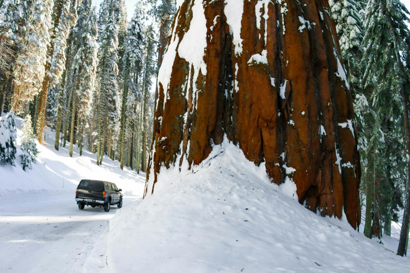 When should I go to Sequoia National Park?, How much time should I spend in Sequoia National Park?, Is it easy to get in and around Sequoia National Park?, Top things to do in Sequoia National Park, My favorite thing to do in Sequoia National Park, How much money do I need for Sequoia National Park?, Are Sequoia and Kings Canyon the same park?, Which is the best entrance to Sequoia National Park?, What are the best places to stay in Sequoia National Park?, Are dogs allowed in Sequoia National Park?, What’s the best time of year to visit Sequoia National Park?, Are there bears in Sequoia National Park?, What should I wear and pack in Sequoia National Park?