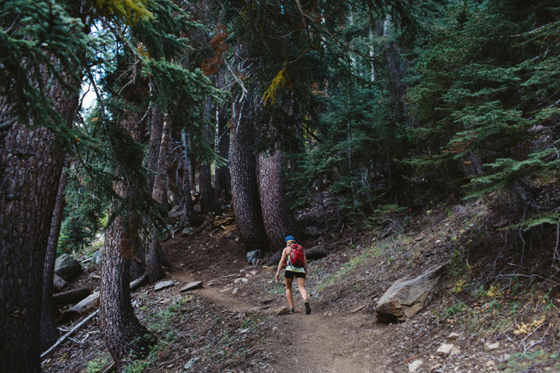 When should I go to Sequoia National Park?, How much time should I spend in Sequoia National Park?, Is it easy to get in and around Sequoia National Park?, Top things to do in Sequoia National Park, My favorite thing to do in Sequoia National Park, How much money do I need for Sequoia National Park?, Are Sequoia and Kings Canyon the same park?, Which is the best entrance to Sequoia National Park?, What are the best places to stay in Sequoia National Park?, Are dogs allowed in Sequoia National Park?, What’s the best time of year to visit Sequoia National Park?, Are there bears in Sequoia National Park?, What should I wear and pack in Sequoia National Park?