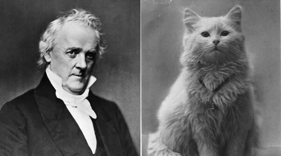12. James Buchanan, the cat colony caretaker 1. Nikola Tesla, the pigeon patron, 2. Winston Churchill, the secret landscape painter, 3. Charles Darwin, the beetle collector extraordinaire, 4. Theodore Roosevelt, the taxidermy enthusiast, 5. Lord Byron, the university bear keeper, 6. Salvador Dali, the ocelot owner, 7. Abraham Lincoln, the wrestling champion, 8. Isaac Newton, the alchemy obsessive, 9. Benjamin Franklin, the glass armonica virtuoso, 10. John Quincy Adams, the early morning skinny-dipper, 11. Ludwig II of Bavaria, the fairy-tale castle builder, 12. James Buchanan, the cat colony caretaker, 13. Caligula, the senatorial horse honoree, 14. Lewis Carroll, the child photography aficionado, 15. Marie Curie, the radium jewelry collector, 16. Alexander Graham Bell, the animal sound recorder