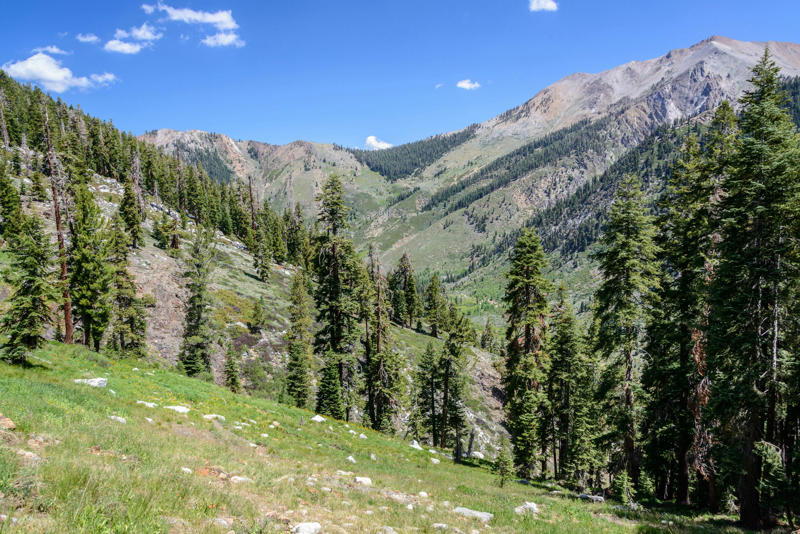 When should I go to Sequoia National Park?, How much time should I spend in Sequoia National Park?, Is it easy to get in and around Sequoia National Park?, Top things to do in Sequoia National Park, My favorite thing to do in Sequoia National Park, How much money do I need for Sequoia National Park?, Are Sequoia and Kings Canyon the same park?, Which is the best entrance to Sequoia National Park?, What are the best places to stay in Sequoia National Park?, Are dogs allowed in Sequoia National Park?, What’s the best time of year to visit Sequoia National Park?, Are there bears in Sequoia National Park?, What should I wear and pack in Sequoia National Park?
