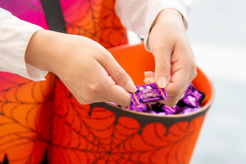 東京ディズニーランドのディズニー・ハロウィーン, 東京ディズニーシーのディズニー・ハロウィーン, 【新イベント】東京ディズニーシーの「ラソス・デ・ラ・ファミリア」, 両パーク共通の楽しみ方（グッズ・メニュー・花火）, スペシャルメニューが登場, ナイトハイ・ハロウィーンを公演, 「ディズニー仮装」を楽しむための基本ルール, ホテルやディズニーリゾートライン、イクスピアリ情報も, 宿泊は「東京ディズニーリゾート・バケーションパッケージ」