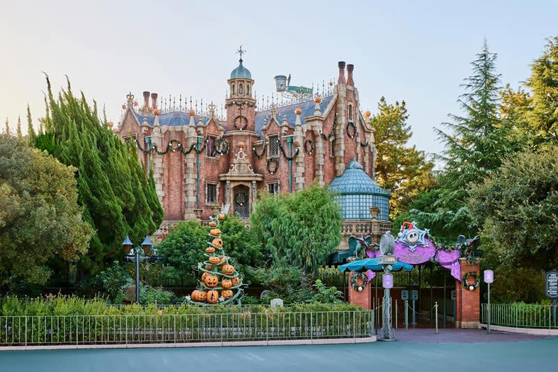 東京ディズニーランドのディズニー・ハロウィーン, 東京ディズニーシーのディズニー・ハロウィーン, 【新イベント】東京ディズニーシーの「ラソス・デ・ラ・ファミリア」, 両パーク共通の楽しみ方（グッズ・メニュー・花火）, スペシャルメニューが登場, ナイトハイ・ハロウィーンを公演, 「ディズニー仮装」を楽しむための基本ルール, ホテルやディズニーリゾートライン、イクスピアリ情報も, 宿泊は「東京ディズニーリゾート・バケーションパッケージ」