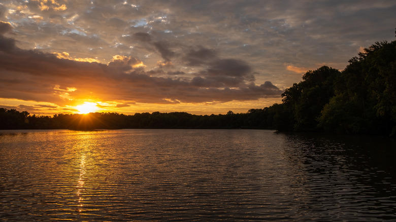 Garrisons Lake In Central Delaware, Trap Pond Near The City Of Laurel, The Deepest Lake In Delaware, Millsboro Pond, Also Has Some Snakes, Lums Pond, The Largest Pond In The First State