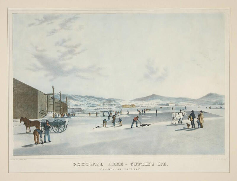 Ice Cutter Lamplighter, Ice Cutter, Knocker-Up, Rat Catcher, Leech Collector, Town Crier, Pinsetter, The Scribe: Documenting History Without Technology, Phrenologist, Chimney Sweep, Switchboard Operator, Telegraph Operator, Elevator Operator, Street Organ Grinder