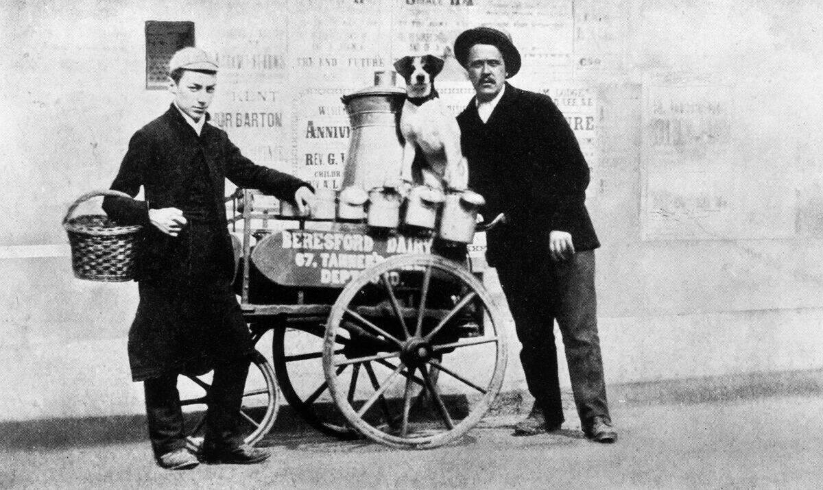 Milkman Lamplighter, Ice Cutter, Knocker-Up, Rat Catcher, Leech Collector, Town Crier, Pinsetter, The Scribe: Documenting History Without Technology, Phrenologist, Chimney Sweep, Switchboard Operator, Telegraph Operator, Elevator Operator, Street Organ Grinder