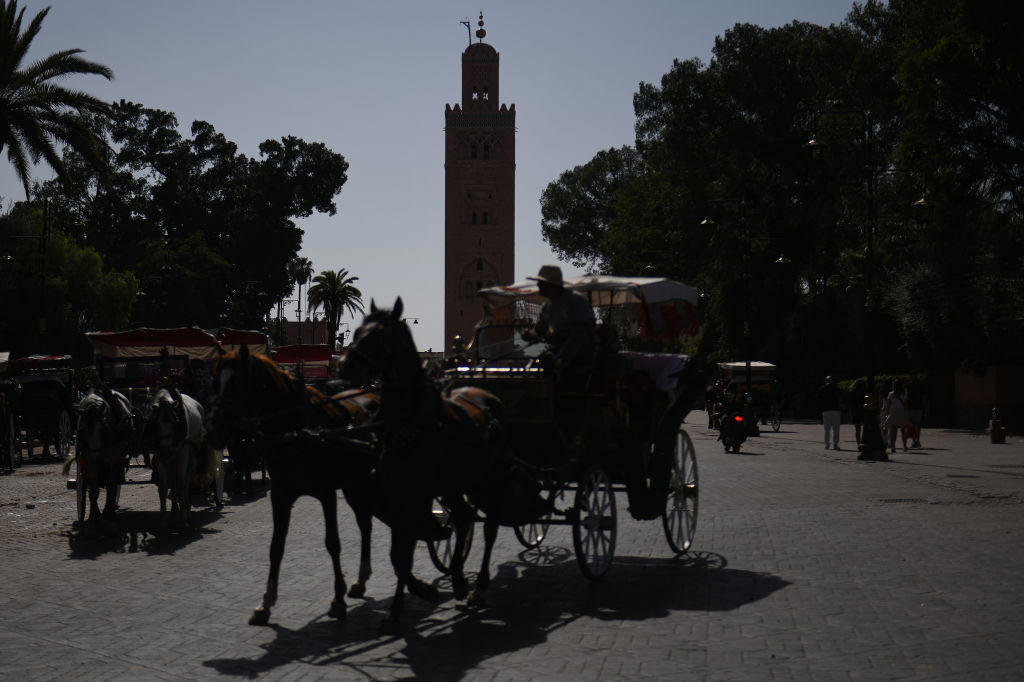 Morocco is working towards the World Cup, In December 2025. the country hosts the Africa Cup of Nations, The biggest soccer stadium in the world, Where futurism and tradition meet, High-speed train from Tangier to Agadir, 3 hours from Tangier to Marrakesh, Infrastructure expansion meets historic traffic, Road transport could be better, Morocco's tourism still promises adventure, Moroccans try to protect the coasts, Muslim country but welcoming to other faiths, But: no drinking, A country of contradictions, Tangier and Sahara, stepping stones to Europe, Migration, A European partner - despite all democratic deficits, Strong performance against Islamic terrorism, Connection with India, Tourism is becoming more professional, An issue: animal protection, Luxury and golf tourism, Morocco's people impress with their friendliness, Beaches are not crowded, Ideal for water sports enthusiasts, Poverty alongside tourist attractions, Shopping in Morocco, No pressure from dromedaries, Morocco's biggest problem: water, Environmental issues, Other concerns: construction frenzy and high prices for locals, Locals cannot afford the tourist prices anymore, Fruit sold on the beach