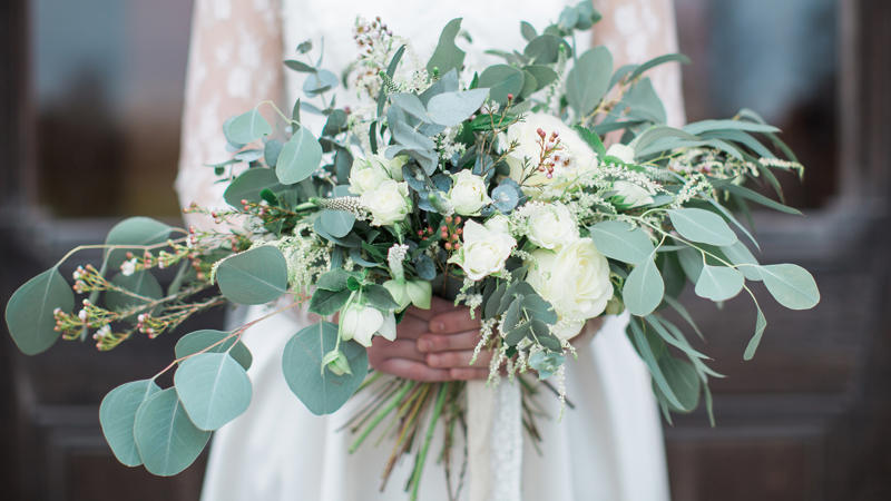 Where I went wrong, What I love about eucalyptus, It limits surrounding plant growth, Eucalyptus is thirsty, The shallow roots sprawl and can cause damage, The tall trees are prone to toppling over, Eucalyptus is highly flammable, Avoid if you’ve got pets