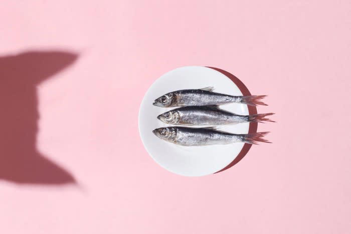 猫には絶対に与えてはいけない『要注意な魚介類』4種, 1.生のイカ・タコ・貝類・甲殻類, 2.青魚（サバ、アジ、サンマなど）, 4.調理済みの魚介類（人間用）, 猫のごはんは「総合栄養食＋水」で問題ない