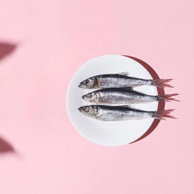 猫には絶対に与えてはいけない『要注意な魚介類』4種, 1.生のイカ・タコ・貝類・甲殻類, 2.青魚（サバ、アジ、サンマなど）, 4.調理済みの魚介類（人間用）, 猫のごはんは「総合栄養食＋水」で問題ない