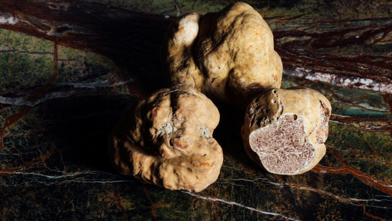 1. The Taste of Chicago, 2. Oktoberfest, 3. Pizzafest, 4. Melbourne Food &amp; Wine Festival, 5. Maine Lobster Festival, 6. Galway International Oyster &amp; Seafood Festival, 7. Tokyo Ramen Festival, 8. National Street Food Festival, 9. Festa a Vico, 10. Taste of London, 11. Mistura, 12. Ubud Food Festival, 13. MTL à Table, 14. Dubai Food Festival, 15. Wildfoods Festival, 16. La Tomatina, 17. Salon du Chocolat, 18. International Alba White Truffle Fair, 19. Copenhagen Cooking &amp; Food Festival, 20. Abergavenny Food Festival