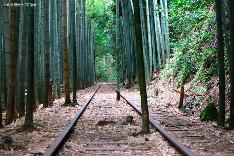 愛らしい見た目にほっこり！ 鳥取土産のド定番！, ｜因幡の白うさぎ（寿製菓）, 見つけると、なぜかつい買ってしまう……鳥取県民のソウルフード！, 子宝祈願で人気のある、ありがた～いお菓子です！！, ｜木の根まんじゅう（木の根本舗）, 【住んでるまちレポート！】旧国鉄倉吉線廃線跡が、いま熱い！ レールの上を歩ける全国的にも珍しいスポット！