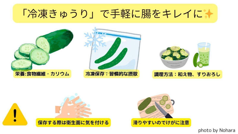 「冷凍きゅうり」の腸がキレイになる栄養ポイント, 「冷凍きゅうり」の保存方法, 簡単！だから継続できる腸がキレイになる「冷凍きゅうり」の食べ方, 「冷凍きゅうり」のちょい足しで腸をキレイにする習慣を身につけよう！