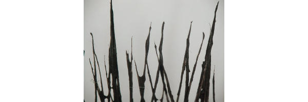 なじませやすく、よく落ちるのはどれ？　最新クレンジング ガチ検証！, 【TEST.2】肌にのせたときのすべりのよさは？, 【TEST.3】口紅は落とせる？, 【TEST.4】毛穴の汚れまで落とせる？, 【TEST.5】ウォータープルーフのマスカラは落ちる？, 【TEST.6】どんなテクスチャー？, 【TEST.7】メイク落ちのよさは？