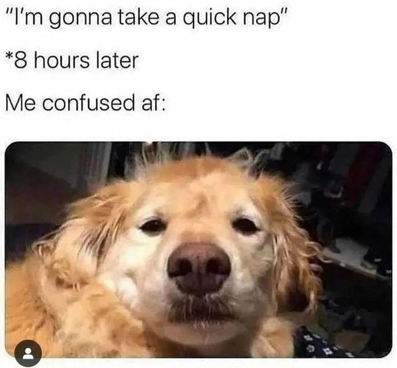 Image 10 of 21 Image 1 of 21, Image 2 of 21, Image 4 of 21, Image 5 of 21, Image 6 of 21, Image 7 of 21, Image 8 of 21, Image 9 of 21, Image 10 of 21, Image 11 of 21, Image 12 of 21, Image 13 of 21, Image 14 of 21, Image 15 of 21, Image 16 of 21, Image 17 of 21, Image 18 of 21, Image 19 of 21, Image 20 of 21, Image 21 of 21