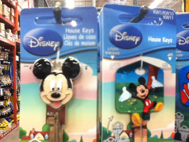 Keychains Generic T-shirts, Autograph books, Glow toys from night shows, Overpriced snacks, Standard coffee mugs, Umbrellas and ponchos, Costume accessories, Keychains, Generic plush toys, Everyday jewelry, Standard park maps and guides, Photo print packages, Generic tote bags, Pens and stationery sets, Standard mouse ears, Choosing keepsakes that count
