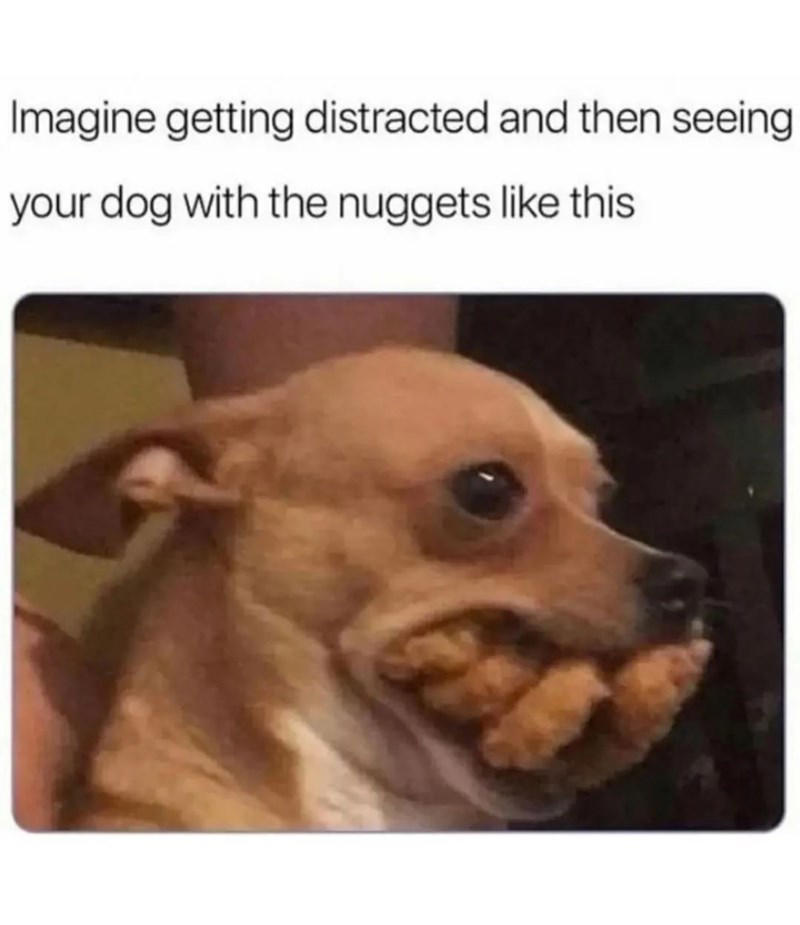 Image 15 of 21 Image 1 of 21, Image 2 of 21, Image 4 of 21, Image 5 of 21, Image 6 of 21, Image 7 of 21, Image 8 of 21, Image 9 of 21, Image 10 of 21, Image 11 of 21, Image 12 of 21, Image 13 of 21, Image 14 of 21, Image 15 of 21, Image 16 of 21, Image 17 of 21, Image 18 of 21, Image 19 of 21, Image 20 of 21, Image 21 of 21