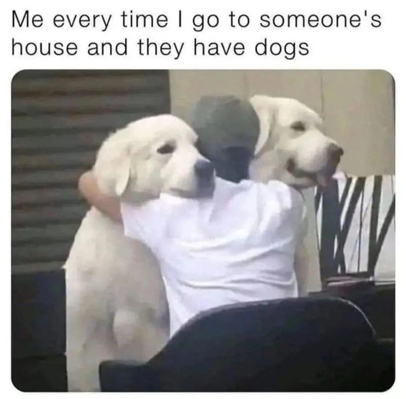 Image 8 of 21 Image 1 of 21, Image 2 of 21, Image 4 of 21, Image 5 of 21, Image 6 of 21, Image 7 of 21, Image 8 of 21, Image 9 of 21, Image 10 of 21, Image 11 of 21, Image 12 of 21, Image 13 of 21, Image 14 of 21, Image 15 of 21, Image 16 of 21, Image 17 of 21, Image 18 of 21, Image 19 of 21, Image 20 of 21, Image 21 of 21