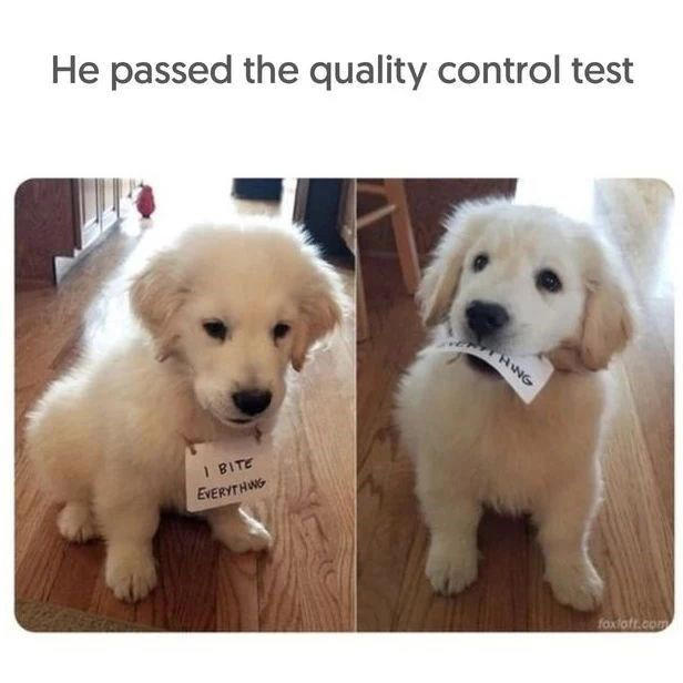 Image 9 of 21 Image 1 of 21, Image 2 of 21, Image 4 of 21, Image 5 of 21, Image 6 of 21, Image 7 of 21, Image 8 of 21, Image 9 of 21, Image 10 of 21, Image 11 of 21, Image 12 of 21, Image 13 of 21, Image 14 of 21, Image 15 of 21, Image 16 of 21, Image 17 of 21, Image 18 of 21, Image 19 of 21, Image 20 of 21, Image 21 of 21