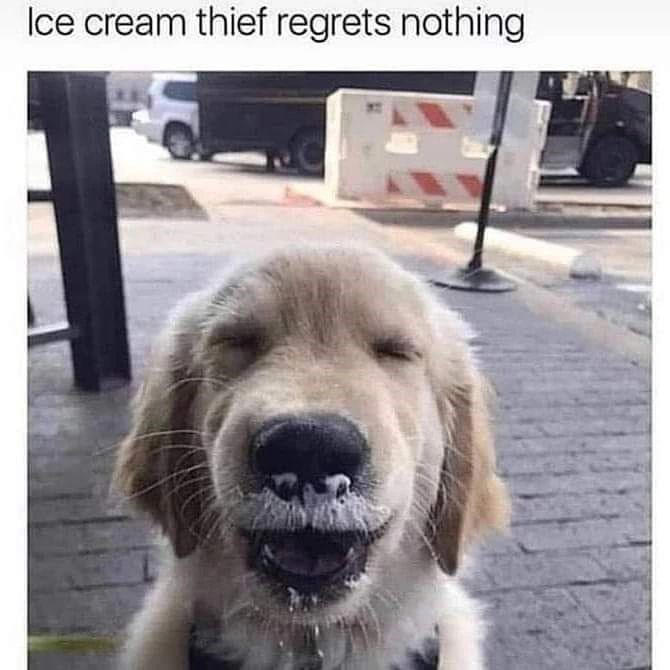 Image 2 of 21 Image 1 of 21, Image 2 of 21, Image 4 of 21, Image 5 of 21, Image 6 of 21, Image 7 of 21, Image 8 of 21, Image 9 of 21, Image 10 of 21, Image 11 of 21, Image 12 of 21, Image 13 of 21, Image 14 of 21, Image 15 of 21, Image 16 of 21, Image 17 of 21, Image 18 of 21, Image 19 of 21, Image 20 of 21, Image 21 of 21