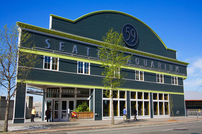 Seattle Aquarium Kenmore Air Seaplane Tour, Seattle Aquarium, Discovery Park, Pike Place Market, Museum of Pop Culture, Seattle Art Museum, Kubota Garden, Wa Na Wari, Bainbridge Island, Olympic Sculpture Park, Space Needle, National Nordic Museum, Wing Luke Museum of the Asian Pacific American Experience, Kerry Park, Northwest Trolls: Way of the Bird King, Waterfront Park, Chihuly Garden and Glass, Snoqualmie Falls, Gift Shop and Visitor Center, Green Lake Park, Frye Art Museum