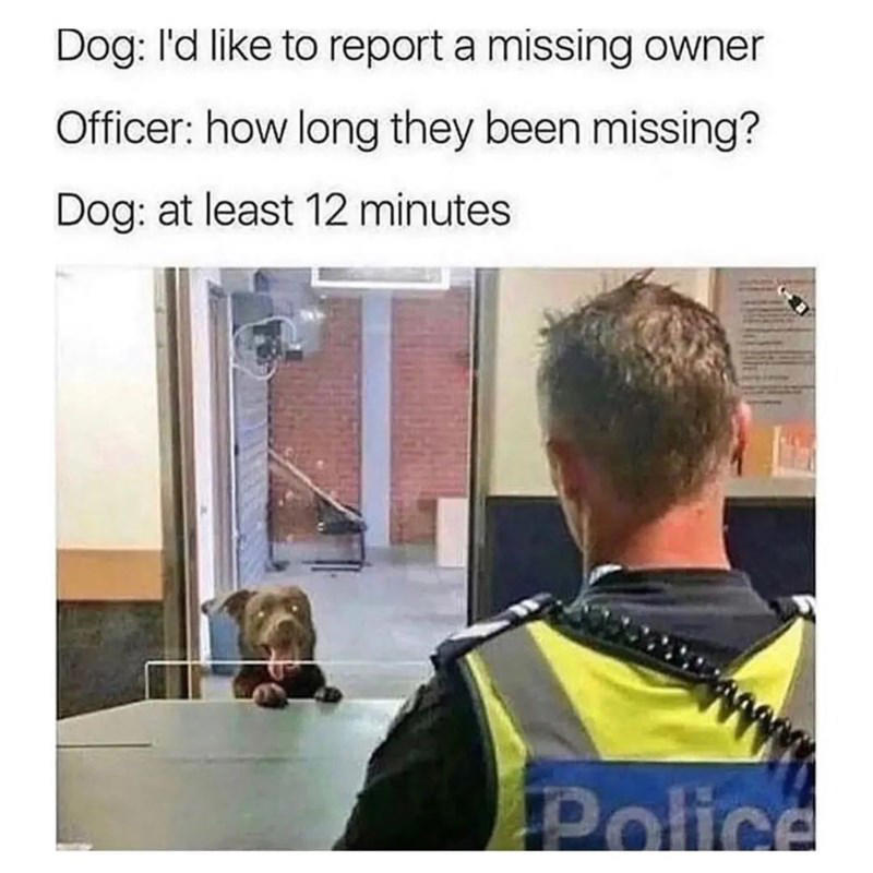 Image 1 of 21 Image 1 of 21, Image 2 of 21, Image 4 of 21, Image 5 of 21, Image 6 of 21, Image 7 of 21, Image 8 of 21, Image 9 of 21, Image 10 of 21, Image 11 of 21, Image 12 of 21, Image 13 of 21, Image 14 of 21, Image 15 of 21, Image 16 of 21, Image 17 of 21, Image 18 of 21, Image 19 of 21, Image 20 of 21, Image 21 of 21
