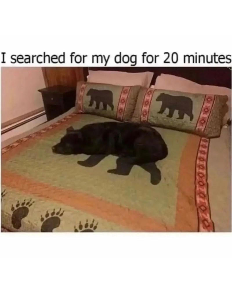 Image 17 of 21 Image 1 of 21, Image 2 of 21, Image 4 of 21, Image 5 of 21, Image 6 of 21, Image 7 of 21, Image 8 of 21, Image 9 of 21, Image 10 of 21, Image 11 of 21, Image 12 of 21, Image 13 of 21, Image 14 of 21, Image 15 of 21, Image 16 of 21, Image 17 of 21, Image 18 of 21, Image 19 of 21, Image 20 of 21, Image 21 of 21