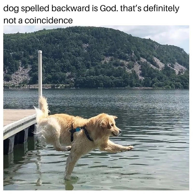 Image 12 of 21 Image 1 of 21, Image 2 of 21, Image 4 of 21, Image 5 of 21, Image 6 of 21, Image 7 of 21, Image 8 of 21, Image 9 of 21, Image 10 of 21, Image 11 of 21, Image 12 of 21, Image 13 of 21, Image 14 of 21, Image 15 of 21, Image 16 of 21, Image 17 of 21, Image 18 of 21, Image 19 of 21, Image 20 of 21, Image 21 of 21