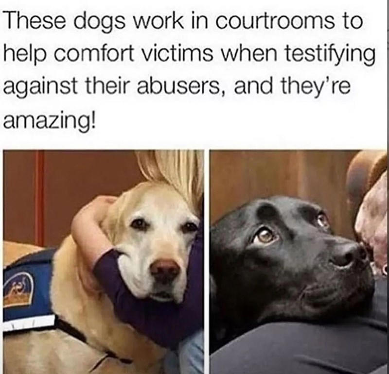 Image 4 of 21 Image 1 of 21, Image 2 of 21, Image 4 of 21, Image 5 of 21, Image 6 of 21, Image 7 of 21, Image 8 of 21, Image 9 of 21, Image 10 of 21, Image 11 of 21, Image 12 of 21, Image 13 of 21, Image 14 of 21, Image 15 of 21, Image 16 of 21, Image 17 of 21, Image 18 of 21, Image 19 of 21, Image 20 of 21, Image 21 of 21
