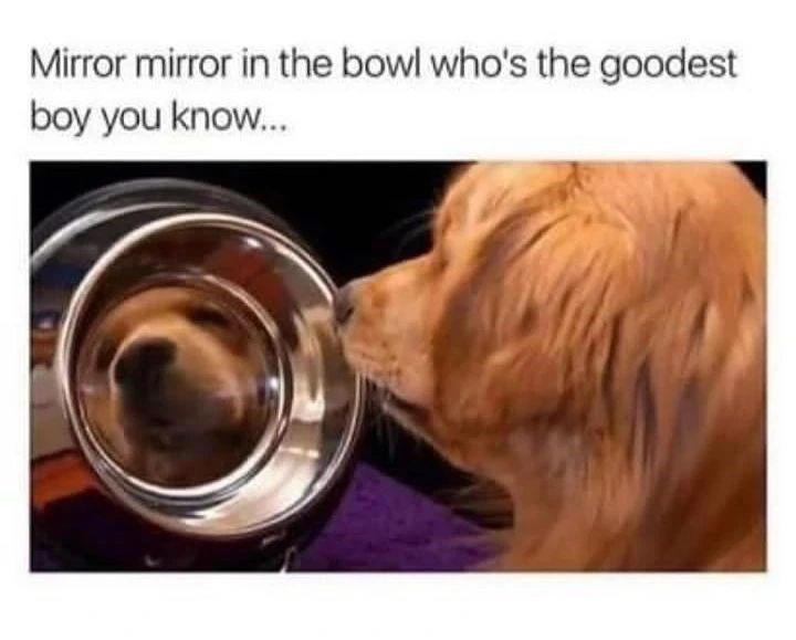 Image 7 of 21 Image 1 of 21, Image 2 of 21, Image 4 of 21, Image 5 of 21, Image 6 of 21, Image 7 of 21, Image 8 of 21, Image 9 of 21, Image 10 of 21, Image 11 of 21, Image 12 of 21, Image 13 of 21, Image 14 of 21, Image 15 of 21, Image 16 of 21, Image 17 of 21, Image 18 of 21, Image 19 of 21, Image 20 of 21, Image 21 of 21