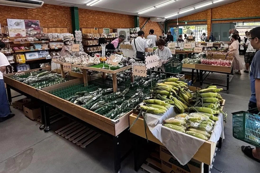 時間無制限で食べ放題！ 人気の「ぶどう狩り」, 収穫したぶどうで“パフェづくり”体験も！, グルメも充実！ 4つの注目スポット, 地元の恵みが並ぶ「産直にこにこ市場」も