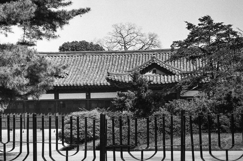 韓国の中の“小さな日本”, 洞窟から救出された一人の女性, 女性たちが朝鮮で暮らした理由とは, 政略結婚させられた梨本宮方子, “日本人”であることを隠して…李方子の世話をした一人の女性, 戦後、次々と待ち受けていた苦難