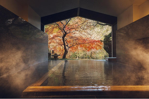 全室ご当地部屋に！箱根らしさあふれる客室, 旅の疲れを癒やす“茶屋”がオープン, ここでしかできない！職人も絶賛する特別な体験を, 食事や温泉もこだわりがたっぷり！