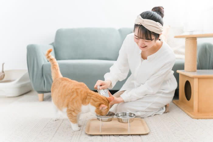 1.年齢に応じて切り替える, 2.体調に合わせて切り替える, 3.フードを食べなくなったら切り替える, 上手なフードの切り替え方
