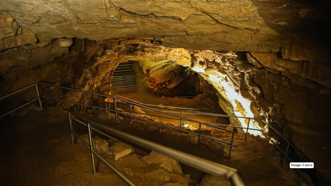 8. Mammoth Cave, USA The world’s longest cave system stretches more than 640 km underground. With vast passageways, rare geological formations, and traces of prehistoric human activity, it’s both a natural marvel and a historical treasure. (Image: Canva) 1. Ajanta Caves, India These Buddhist sanctuaries (2nd century BCE–480 CE) are celebrated for their luminous murals, delicate carvings, and expressive sculptures—considered the pinnacle of ancient Indian rock-cut architecture and spiritual artistry. (Image: Canva), 2. Ellora Caves, India A magnificent fusion of Hindu, Buddhist, and Jain traditions (6th–10th century CE), Ellora is home to the monumental Kailash Temple—the world’s largest monolithic rock excavation—showcasing both scale and craftsmanship in stone. (Image: Canva), 3. Škocjan Caves, Slovenia Europe’s most dramatic underground canyon, the Škocjan system features roaring rivers, towering stalactites, and vast cathedral-like chambers, making it one of the most awe-inspiring natural cave landscapes on Earth. (Image: Canva), 4. Phong Nha Cave, Vietnam Located in Phong Nha–Kẻ Bàng National Park, this cave holds the world’s longest underground river accessible to visitors, adorned with formations poetically named “Lion,” “Buddha,” and “Fairy,” adding mythical charm to its natural splendor. (Image: Canva), 5. Mogao Caves, China Known as the “Caves of the Thousand Buddhas,” this vast complex has preserved Buddhist art and manuscripts since 366 CE. Its vibrant murals and sculptures form one of the world’s richest repositories of spiritual and artistic history. (Image: Canva), 6. Longmen Grottoes, China Carved into limestone cliffs along the Yi River, the Longmen Grottoes contain over 1,400 caves and 100,000 statues, many from the Tang dynasty, celebrated for their refined artistry and serene spiritual expression. (Image: Canva), 7. Elephanta Caves, India Set on an island near Mumbai, Elephanta is famed for its colossal rock-cut sculptures, especially the Trimurti—a majestic three-headed depiction of Lord Shiva—blending myth, devotion, and stone artistry. (Image: Canva), 8. Mammoth Cave, USA The world’s longest cave system stretches more than 640 km underground. With vast passageways, rare geological formations, and traces of prehistoric human activity, it’s both a natural marvel and a historical treasure. (Image: Canva), 9. Altamira Cave, Spain Often called the “Sistine Chapel of Paleolithic Art,” Altamira showcases prehistoric paintings of bison, horses, and deer dating back over 20,000 years, offering a hauntingly beautiful window into early human creativity. (Image: Canva), 10. Caves of Aggtelek Karst (Baradla), Hungary This sprawling cave system, shared with Slovakia’s Slovak Karst, dazzles with dramatic stalactites, stalagmites, and underground rivers—a sublime display of nature’s artistry formed over millions of years. (Image: Canva)