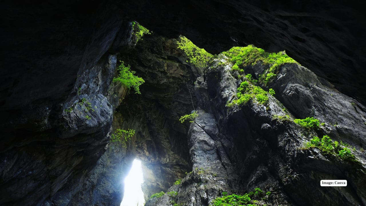 3. Škocjan Caves, Slovenia Europe’s most dramatic underground canyon, the Škocjan system features roaring rivers, towering stalactites, and vast cathedral-like chambers, making it one of the most awe-inspiring natural cave landscapes on Earth. (Image: Canva) 1. Ajanta Caves, India These Buddhist sanctuaries (2nd century BCE–480 CE) are celebrated for their luminous murals, delicate carvings, and expressive sculptures—considered the pinnacle of ancient Indian rock-cut architecture and spiritual artistry. (Image: Canva), 2. Ellora Caves, India A magnificent fusion of Hindu, Buddhist, and Jain traditions (6th–10th century CE), Ellora is home to the monumental Kailash Temple—the world’s largest monolithic rock excavation—showcasing both scale and craftsmanship in stone. (Image: Canva), 3. Škocjan Caves, Slovenia Europe’s most dramatic underground canyon, the Škocjan system features roaring rivers, towering stalactites, and vast cathedral-like chambers, making it one of the most awe-inspiring natural cave landscapes on Earth. (Image: Canva), 4. Phong Nha Cave, Vietnam Located in Phong Nha–Kẻ Bàng National Park, this cave holds the world’s longest underground river accessible to visitors, adorned with formations poetically named “Lion,” “Buddha,” and “Fairy,” adding mythical charm to its natural splendor. (Image: Canva), 5. Mogao Caves, China Known as the “Caves of the Thousand Buddhas,” this vast complex has preserved Buddhist art and manuscripts since 366 CE. Its vibrant murals and sculptures form one of the world’s richest repositories of spiritual and artistic history. (Image: Canva), 6. Longmen Grottoes, China Carved into limestone cliffs along the Yi River, the Longmen Grottoes contain over 1,400 caves and 100,000 statues, many from the Tang dynasty, celebrated for their refined artistry and serene spiritual expression. (Image: Canva), 7. Elephanta Caves, India Set on an island near Mumbai, Elephanta is famed for its colossal rock-cut sculptures, especially the Trimurti—a majestic three-headed depiction of Lord Shiva—blending myth, devotion, and stone artistry. (Image: Canva), 8. Mammoth Cave, USA The world’s longest cave system stretches more than 640 km underground. With vast passageways, rare geological formations, and traces of prehistoric human activity, it’s both a natural marvel and a historical treasure. (Image: Canva), 9. Altamira Cave, Spain Often called the “Sistine Chapel of Paleolithic Art,” Altamira showcases prehistoric paintings of bison, horses, and deer dating back over 20,000 years, offering a hauntingly beautiful window into early human creativity. (Image: Canva), 10. Caves of Aggtelek Karst (Baradla), Hungary This sprawling cave system, shared with Slovakia’s Slovak Karst, dazzles with dramatic stalactites, stalagmites, and underground rivers—a sublime display of nature’s artistry formed over millions of years. (Image: Canva)