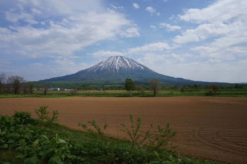外資に買われている別荘地, 「公売」から落札にいたった物件も, 目に付く「FOR SALE」の看板, 売り出し中の土地「外国人を強く意識」, リゾート施設の建設会社が破産, 適正な開発を担保する対策を