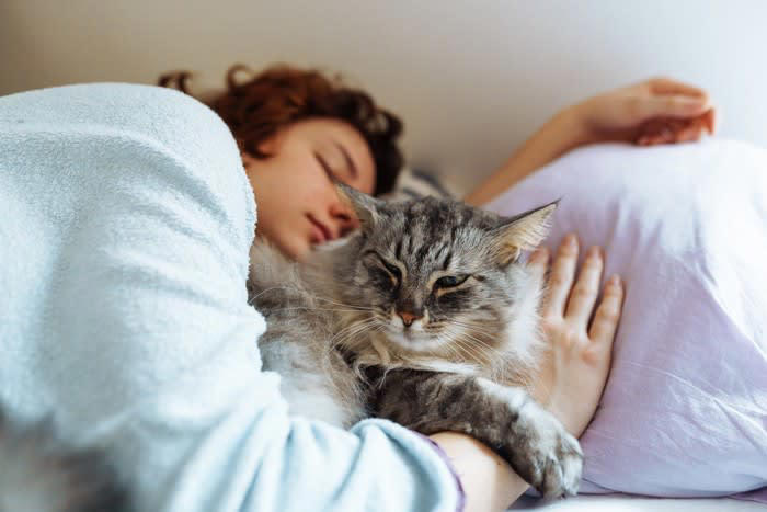 猫が選ぶ5つの“眠る位置”別・信頼度とその理由, 1. 飼い主のお腹や胸の上で眠る, 2. 足元や布団の端で眠る, 3. 飼い主の顔の横や枕元で眠る, 4. ソファや椅子の背もたれ上, 5. 部屋の隅や家具の下, 信頼度が上がる“猫の寝場所”の作り方, 高さと囲まれ感のある場所を用意する, 飼い主のにおいがするアイテムを活用する, 静かで落ち着ける場所に寝床を置く, 複数の寝場所を用意する, 猫が選んだ“お気に入りスポット”は尊重する