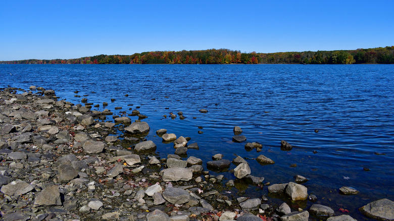 Lake Wallenpaupack In The Poconos, Pennsylvania's Share Of Lake Erie Is Also A Favorite Of Snakes, The Susquehanna River Passing Through, New York, Maryland, And Pennsylvania, Beltzville Lake In The Beltzville State Park, The Pymatuning Reservoir Near Ohio