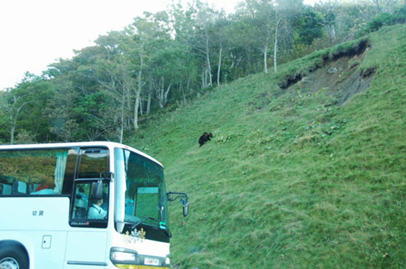 ■危険事例が増えていた, ■対策の基本は「クマと出会わないようにする」, ■見通しの悪い場所の前では声, ■クマよけスプレーの重要性, ■クマスプレーは事実上「唯一の道具」, ■警察・自衛隊で使用実績「カウンターアソールト」, ■安価な粗悪品も目立つ, ■幾度もクマと対峙してきた, ■クマスプレー「講習会」や「レンタル」も, ■最終手段は「戦う」ほかない, ■事故現場は見通しが悪い場所