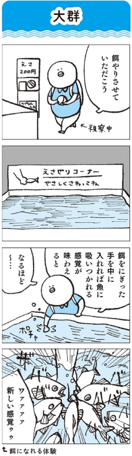 生きものたちの距離感を見る, 大水槽のイワシ搬入のタイミングは超重要, タッチプールの戦士たち, タッチプールを設ける理由