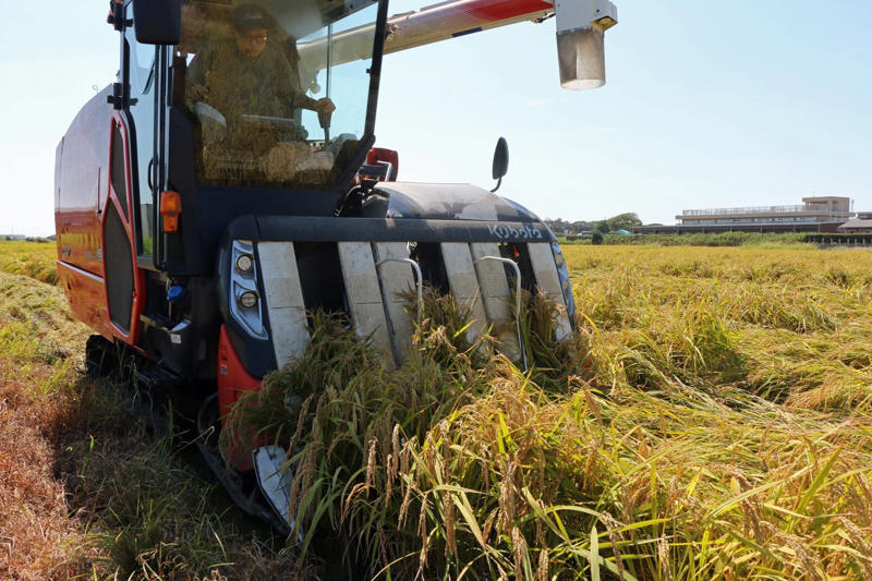 ■早場米の出荷が始まる, ■過熱する米の集荷競争, ■農家「5キロ3500～4000円で届けたい」, ■新米の価格「目に見えて下がることはない」, ■米相場の先行きが読めない, ■「小泉米」の売れ行きはよくない, ■米の価格は二極化が続く