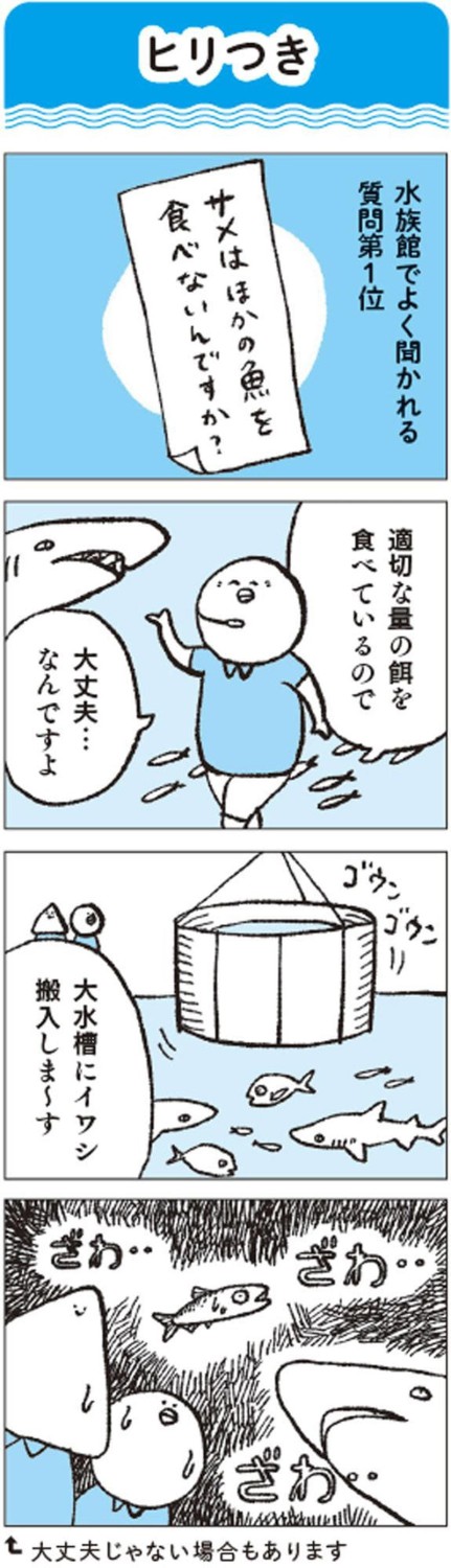 生きものたちの距離感を見る, 大水槽のイワシ搬入のタイミングは超重要, タッチプールの戦士たち, タッチプールを設ける理由
