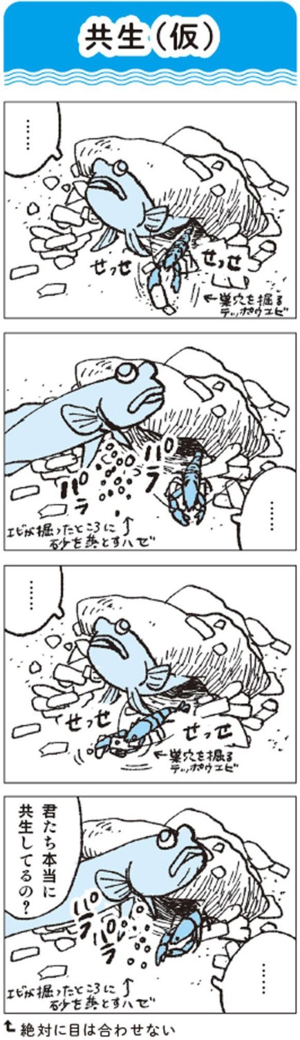 生きものたちの距離感を見る, 大水槽のイワシ搬入のタイミングは超重要, タッチプールの戦士たち, タッチプールを設ける理由