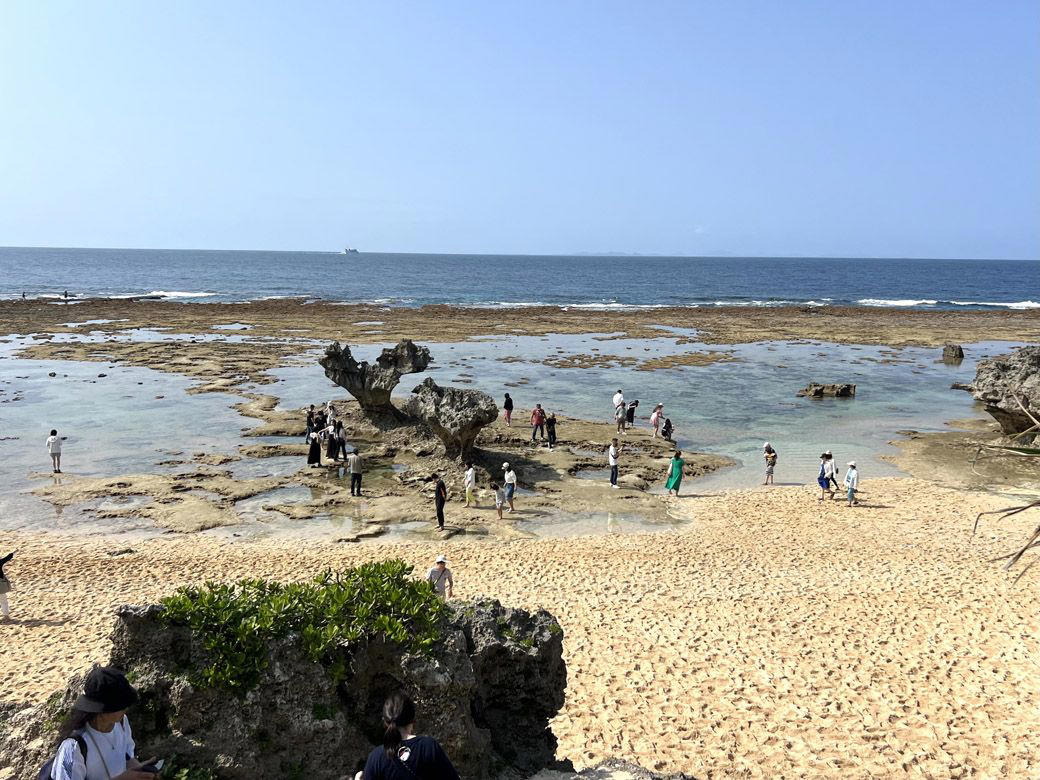 沖縄本島の“南北問題”, 北部振興の“切り札”として地元企業も多額の出資, 今帰仁村が得た“キャッチフレーズ”, ジャングリア沖縄開業前の地元の空気感