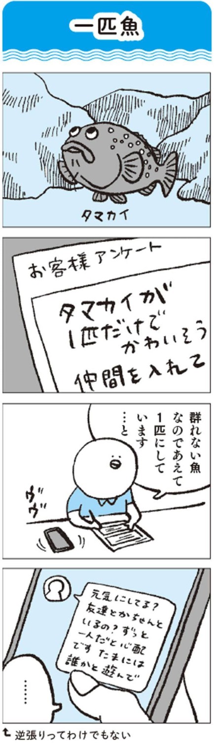 生きものたちの距離感を見る, 大水槽のイワシ搬入のタイミングは超重要, タッチプールの戦士たち, タッチプールを設ける理由