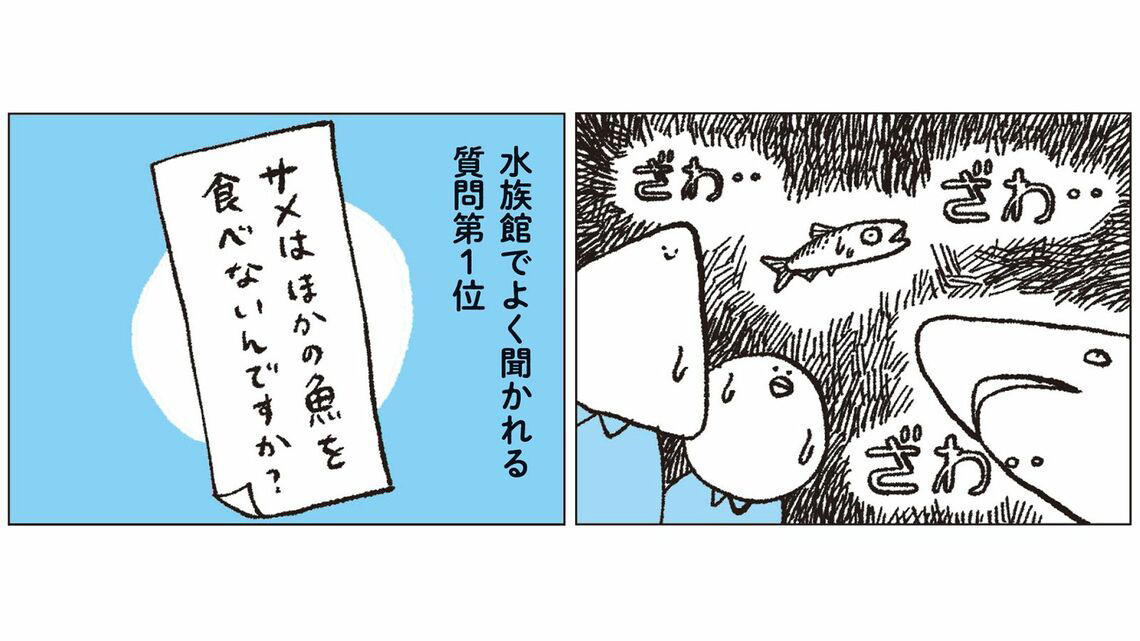 生きものたちの距離感を見る, 大水槽のイワシ搬入のタイミングは超重要, タッチプールの戦士たち, タッチプールを設ける理由