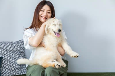 1.穏やかな表情で見つめる, 2.顔や手をペロペロと舐めてくる, 3.しっぽを左右にブンブン振る, 4.「フー」と長いため息をつく